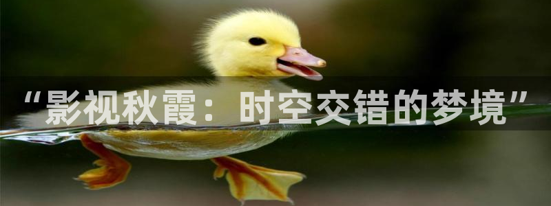 汤姆影院tom最新地域网在线观看